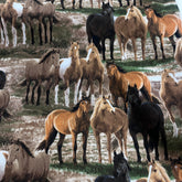 Wild Wings & Persis Clayton Weirs 100% Cotton Fabric WOF 110cm-112cm